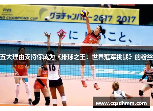 五大理由支持你成为《排球之王：世界冠军挑战》的粉丝