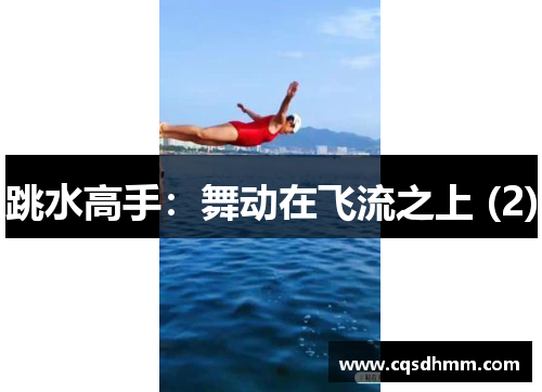 跳水高手：舞动在飞流之上 (2)