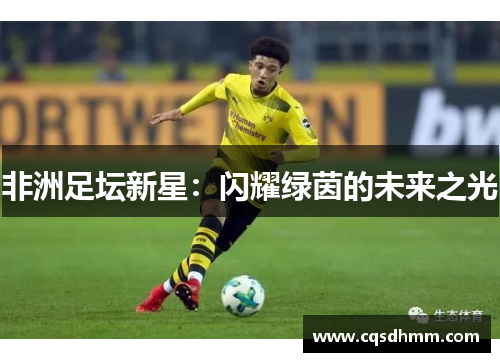非洲足坛新星：闪耀绿茵的未来之光