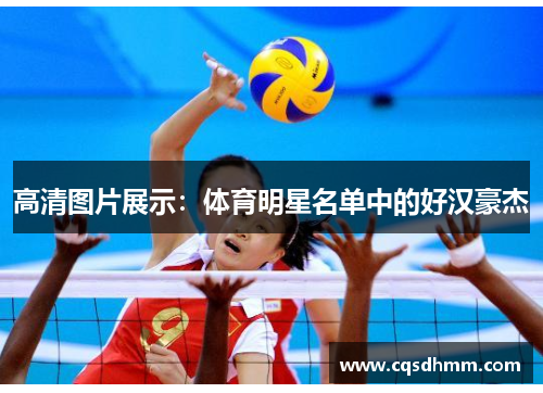 高清图片展示：体育明星名单中的好汉豪杰